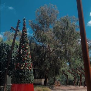 Meet your Posher, Charly-rose